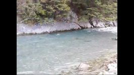 Fly fishing in New Zealand monster trout battle