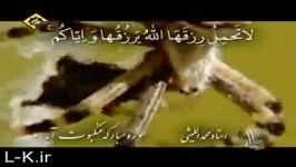 شعور حیوانات 2