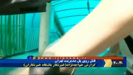 قتل دختر دانشجو توسط همكلاسی اش در پل مدیریت