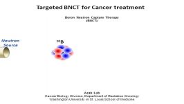 Targeted BNCT for Cancer Treatment LD