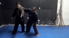 ninjutsu vs krav maga