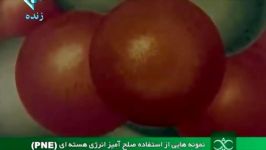 انفجارهای صلح آمیز هسته ای