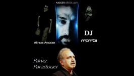 Naser Abdollahi Ft. Parviz Parastui  Mix Collection