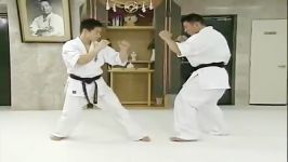 Kyokushin Kumite Image Training