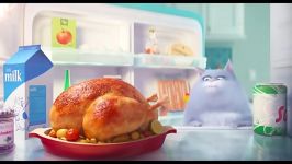 جدیدترین تیلر The Secret Life of Pets