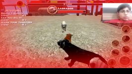 جیشما بنوشdog simulator