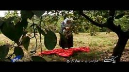 پیک آشنا مازندران  بهارنارنج