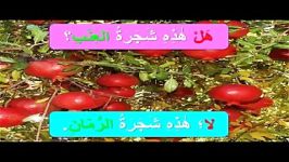 آموزش واژگان درس دوم قسمت اول عربی هفتم