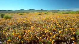 تریلر مستند Planet Earth Great Plains 2006