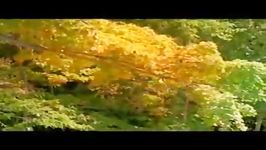 تریلر مستند Planet Earth Seasonal Forests 2006