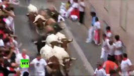 Bulls Fight 2015 گاوبازی 2015 اسپانیا آغاز شد مادرید