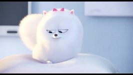 تریلر انیمیشن The Secret Life of Pets