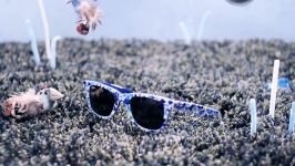 Ray Ban Never Hide کله گُلی هر آنچه هستی باش