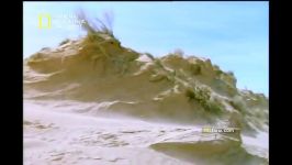 مستند قاتلین بالفطره بیابان National Geographic Built For The Kill Desert .flv