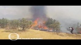 آتش سوزی در جنگل های بلوط کوهدشت لرستان 13 14 مرداد