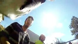 Wolves and A GoPro A Mission Wolf Experience