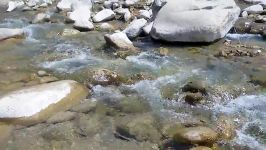 صدای پای آب در رودخانه دلفارد جیرفت
