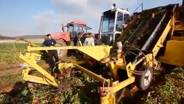 tomato harvester