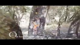 آتش سوزی در جنگل های بلوط کوهدشت 13 14 و15 مرداد
