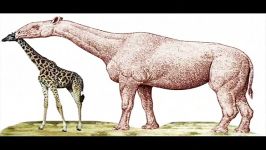 بزرگترین پستاندار خشکی زی تاریخParaceratherium