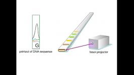 دانلود فیلم توالی یابی DNA