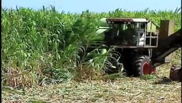 sugercane harvester