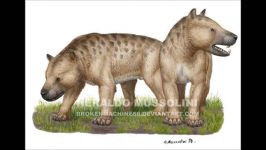 سومین شکارچی پستاندار خشکی بزرگ تاریخ megistotherium