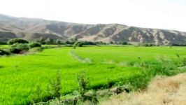 طبیعت زیبای درونگر درگز