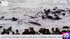 کشتار وحشتناک نهنگ ها در جزایر فارو دانمارک