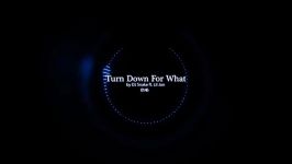 DJ Snake ft Lil Jon  Turn Down for What