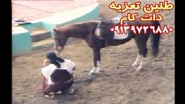 هنرنمایی حسن نرگس خانی در قسمت شهادت پسر حر ۱۳۸۴قودجان