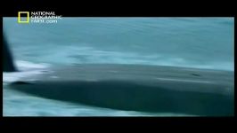 مستند وداع زیردریایی شوروی National Geographic Soviet Doomsday Sub