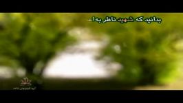 گزیده ای وصیت نامه شهید سید ابوالفضل سامع 34