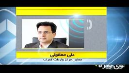 مناظره شنیدنی قاچاق 300 میلیون دلاری برنج به کشور