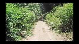طبیعت گردی آفرود در جنگل ، مرداد 94  زنجان آفرود