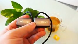 Sony WS Series Walkman Review NWZ WS613