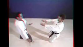Aikido vs Brazil Jiu jitsu Self Defense Mixed Marti