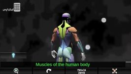 آناتومی ماهیچه های بدن انسان  Muscular System 3D anatomy