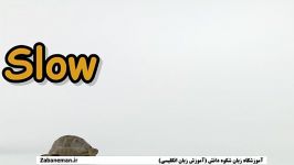 آموزش متضادها در انگلیسیzabaneman.ir