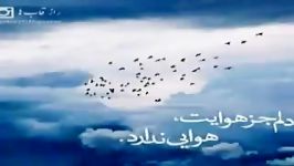 آهنگ جدید بسیار زیبای ساتراپ شجایی به نام امید عاشقی