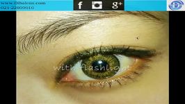 بررسی لنز فرشلوک Freshlook Pure Hazel