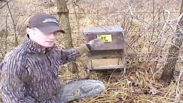 How To Make an Antler Trap  YouTube