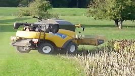 sunflower harvester1