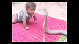 bache shoja ba mar cobra