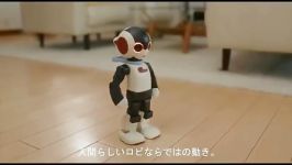 Robi رباتی درک متقابل ژاپن