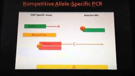 Marker assisted selection technologies