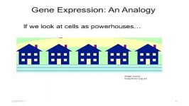 A Guide to NCBI Gene Expression Part 1