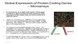 بخش دوم بررسی داده های Gene Expression در پایگاه NCBI