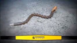 پیچ گوشتی انعطاف پذیر SNAKE BIT