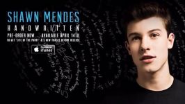 Shawn Mendes  Stitches